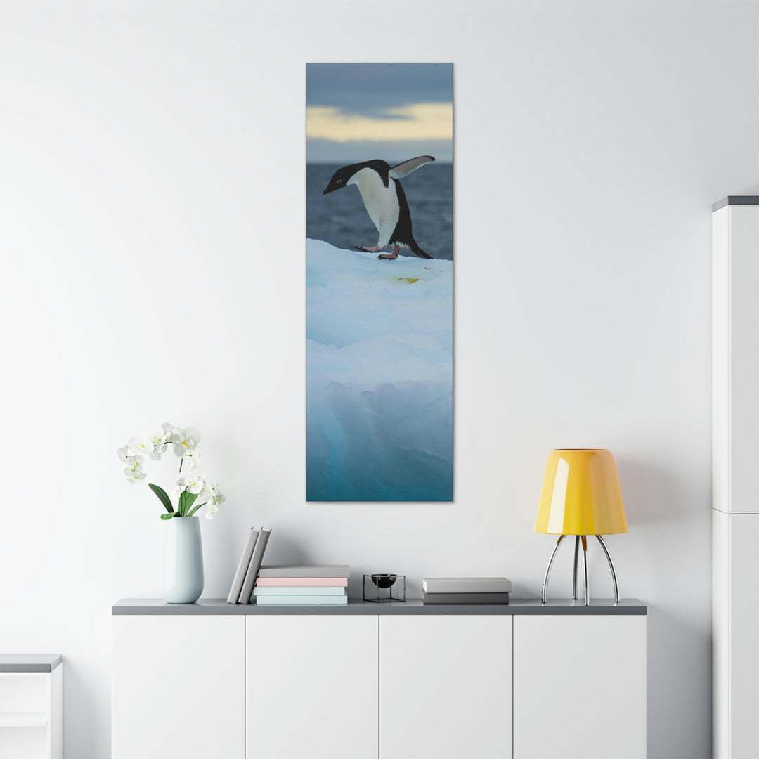 Penguin Dance - Canvas