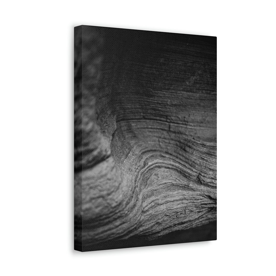 Sedimentary Rock Curves in Black and White - Canvas