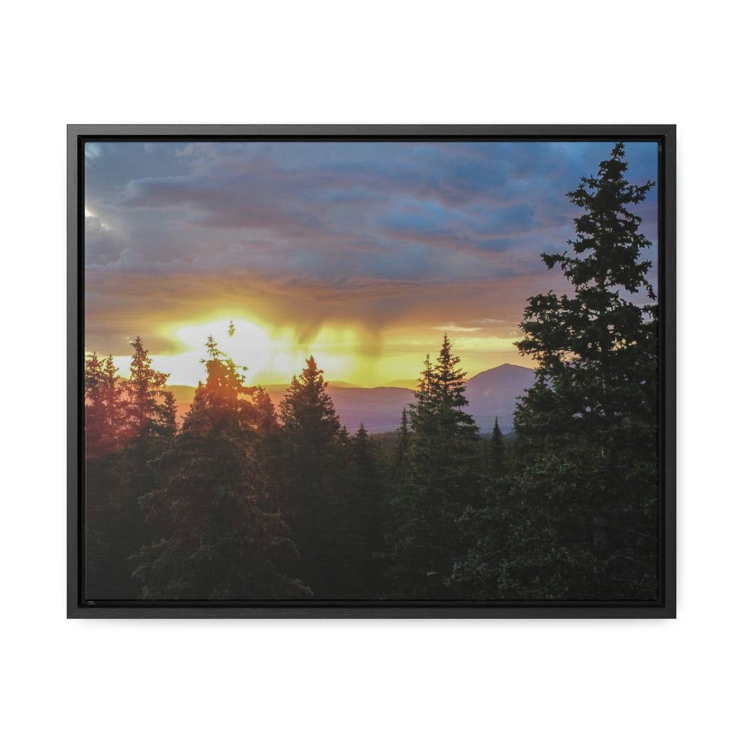 Rainy Sunset Through the Trees - Canvas with Frame