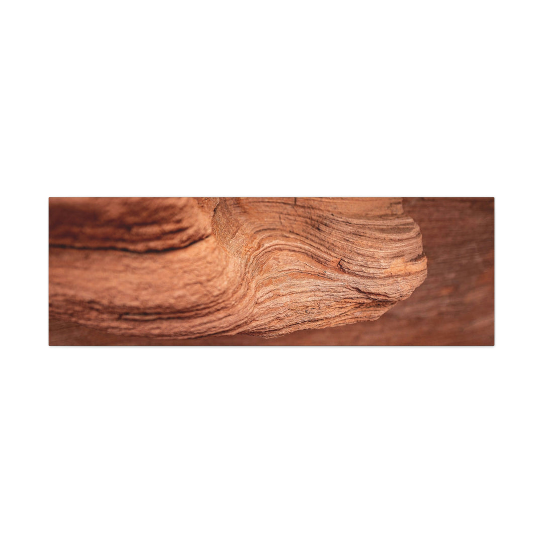 Sedimentary Rock Curves - Canvas