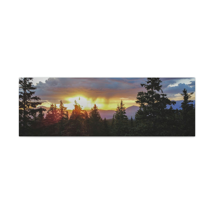 Rainy Sunset Through the Trees - Canvas