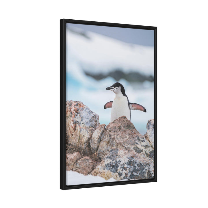 Stretched Penguin - Canvas with Frame