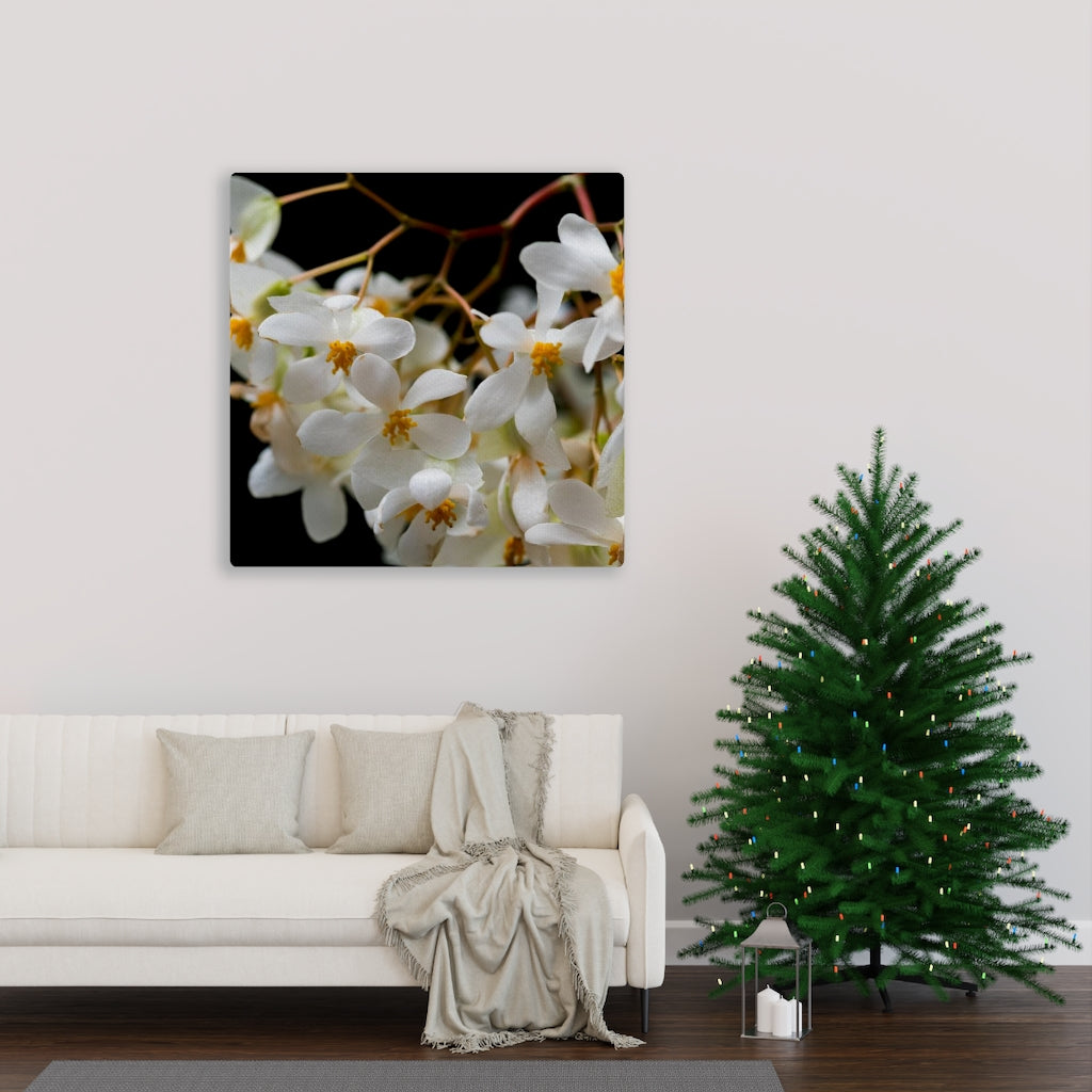 Floral Network - Canvas