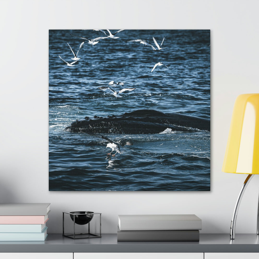 Humpback Hello - Canvas