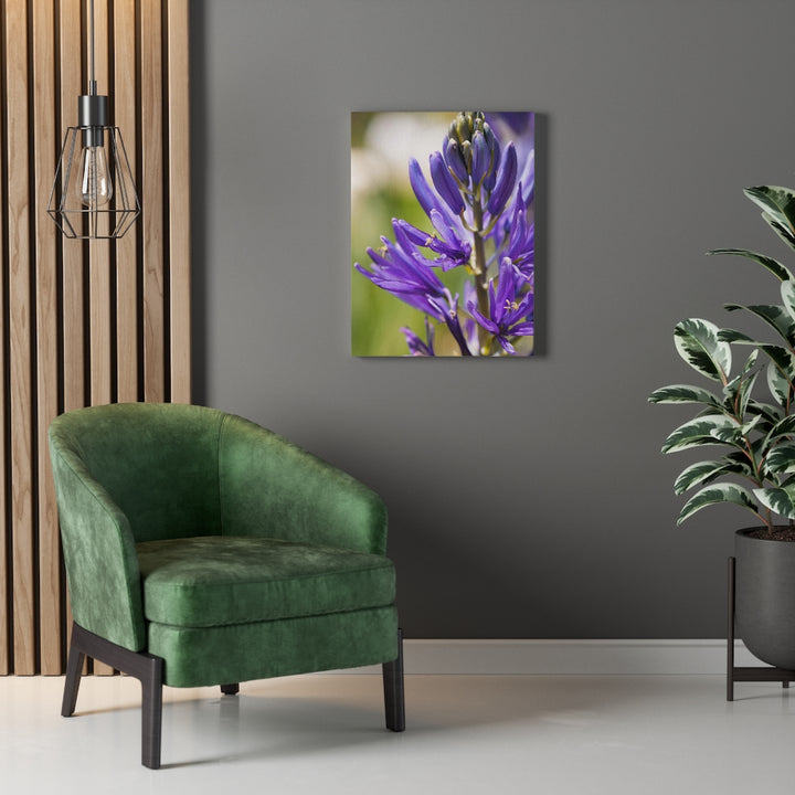 Camas in Bloom - Canvas