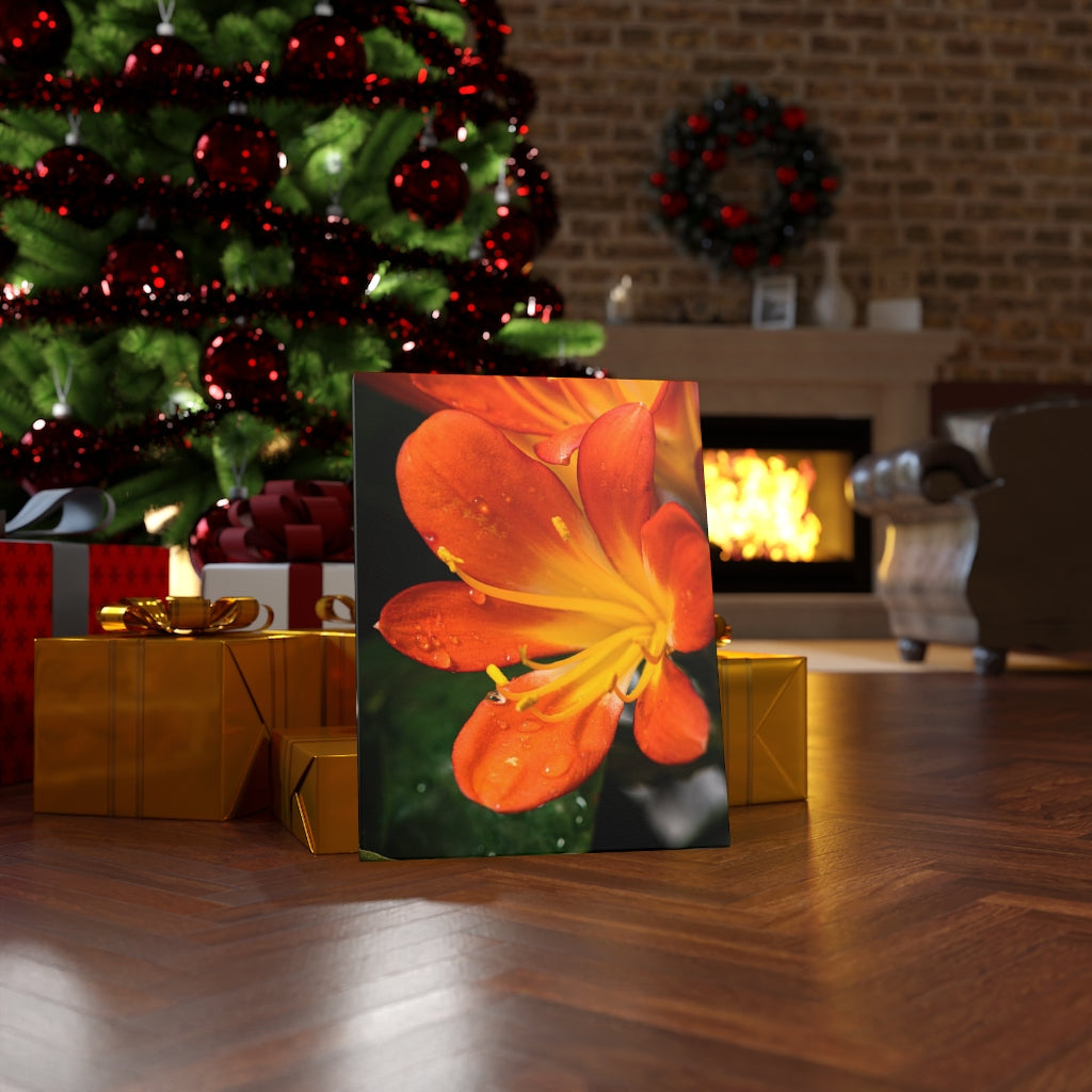 Bright Bush Lily - Canvas