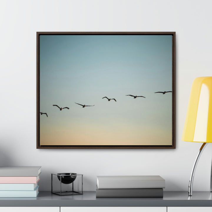 Brown Pelicans in Flight - Canvas with Frame