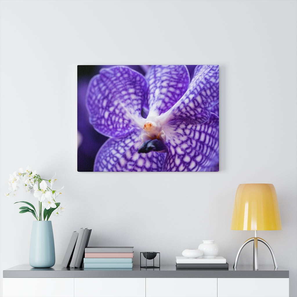 Orchid Detail - Canvas