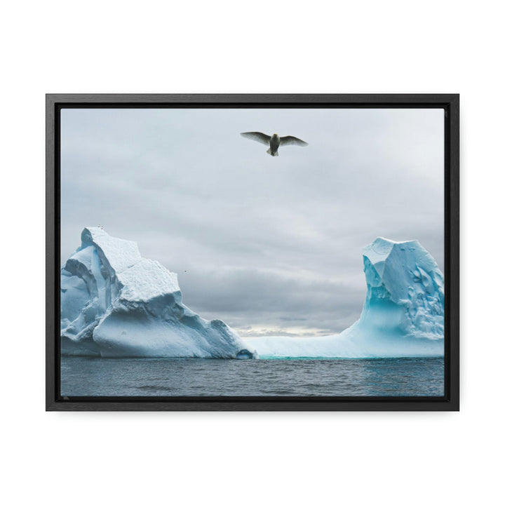 Antarctic Flight - Canvas with Frame