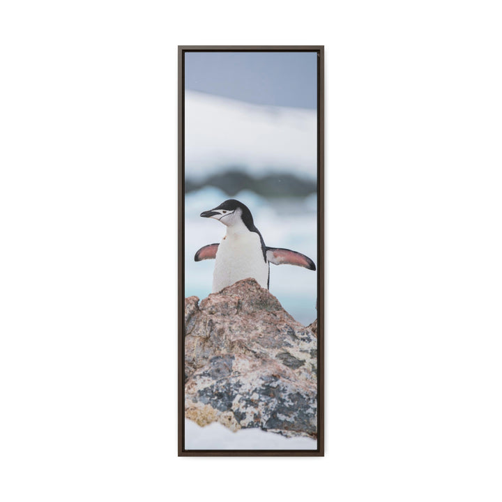 Stretched Penguin - Canvas with Frame