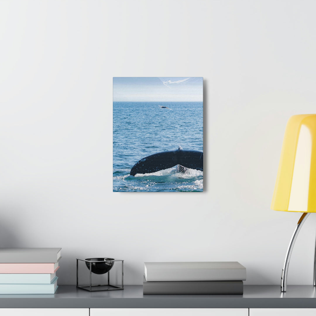 A Whale and A Mountain - Canvas