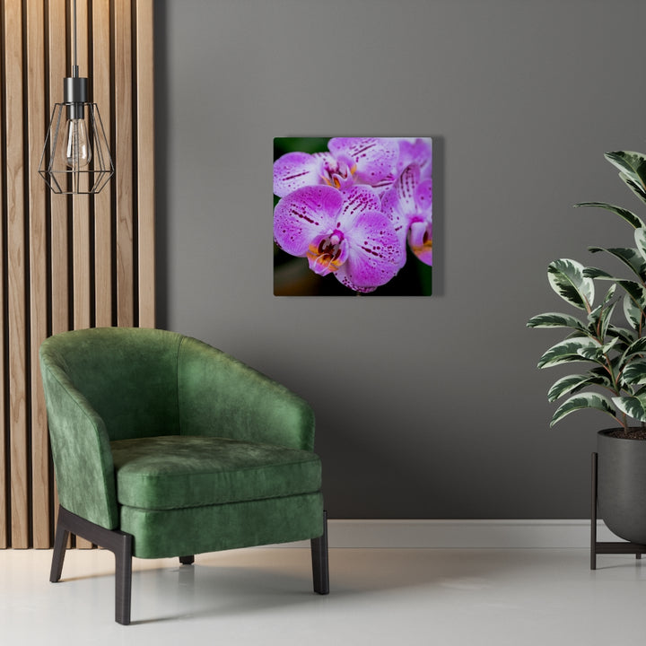 Orchid in Pink - Canvas