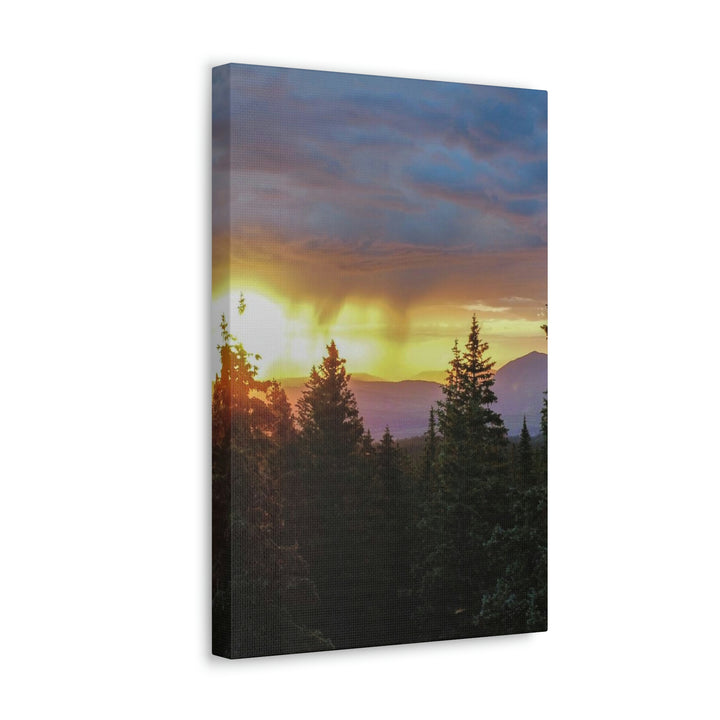 Rainy Sunset Through the Trees - Canvas