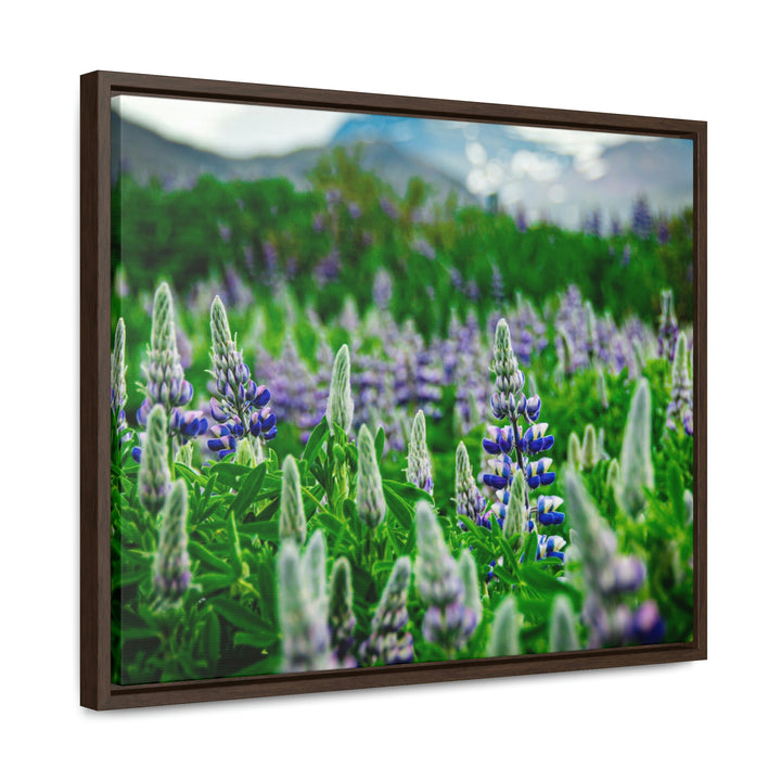 Glowing Lupin with Mountains - Canvas with Frame