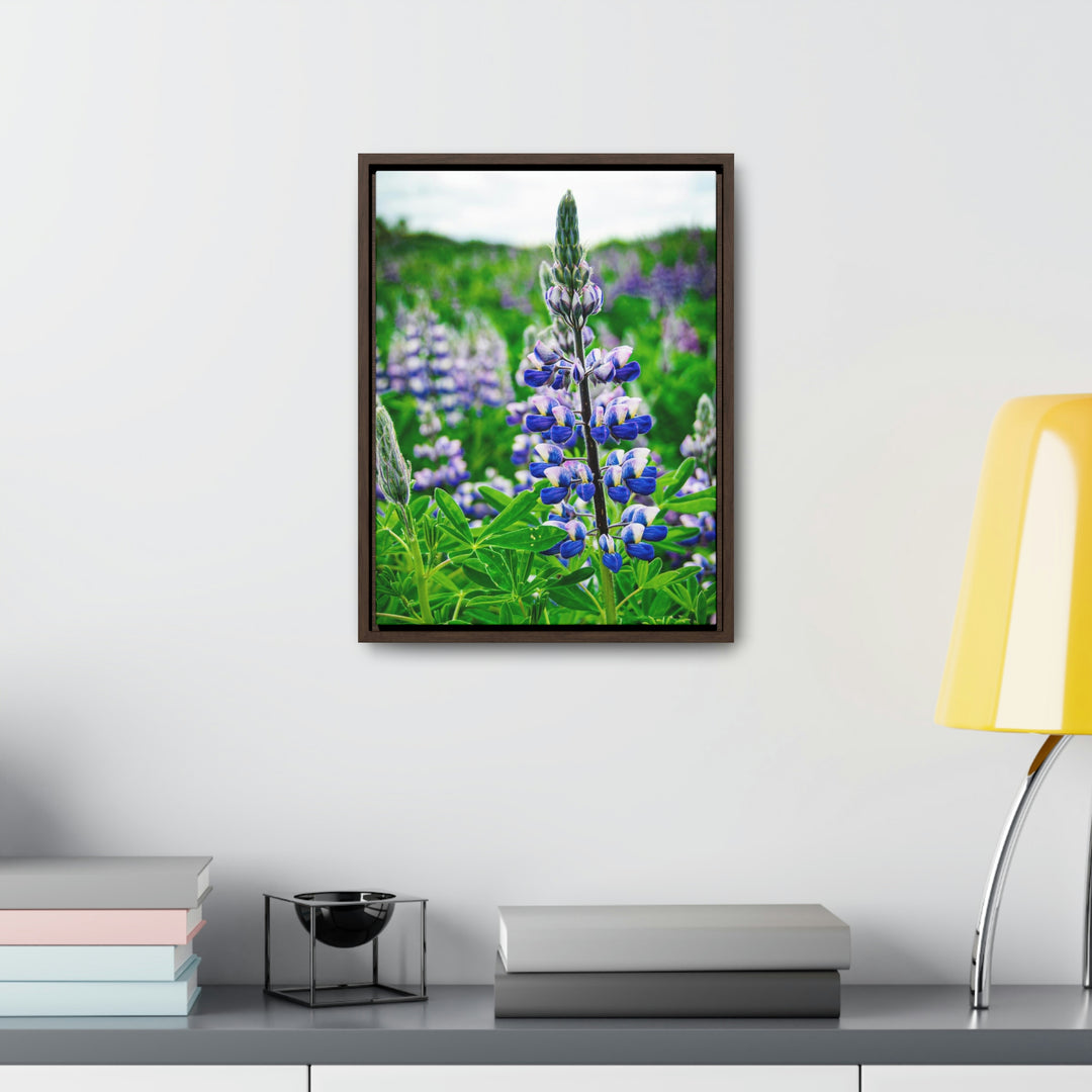 Glowing Lupin - Canvas with Frame