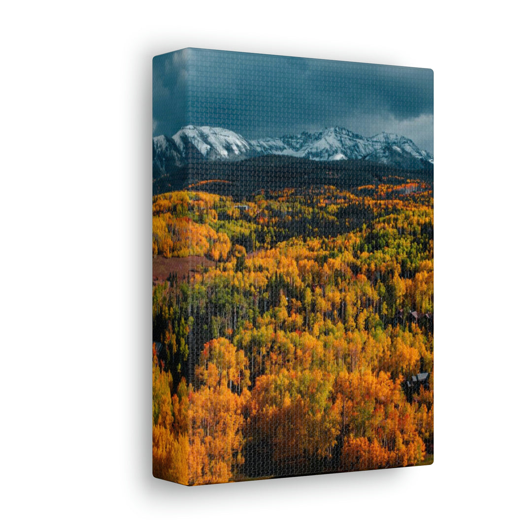 Golds of Autumn - Canvas