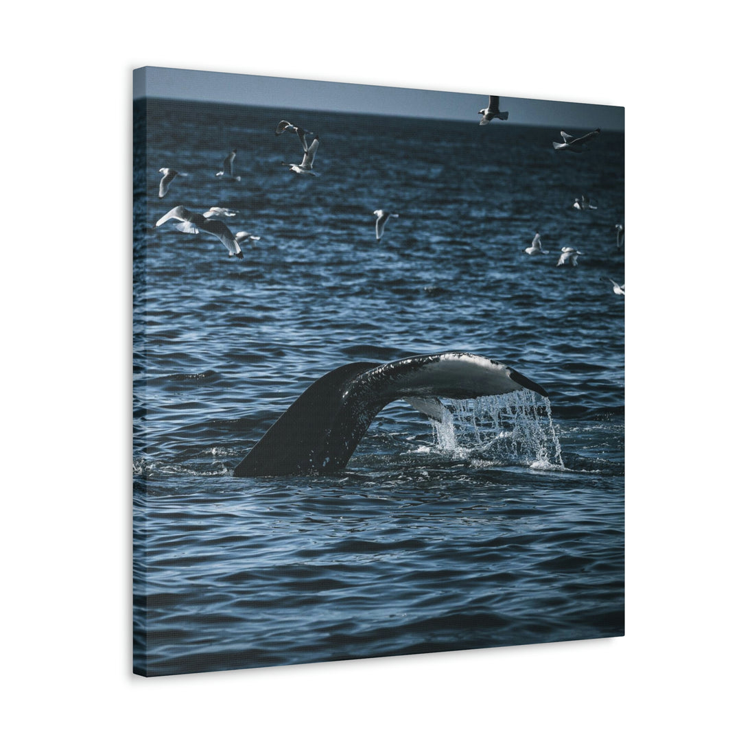 Feeding Tail - Canvas