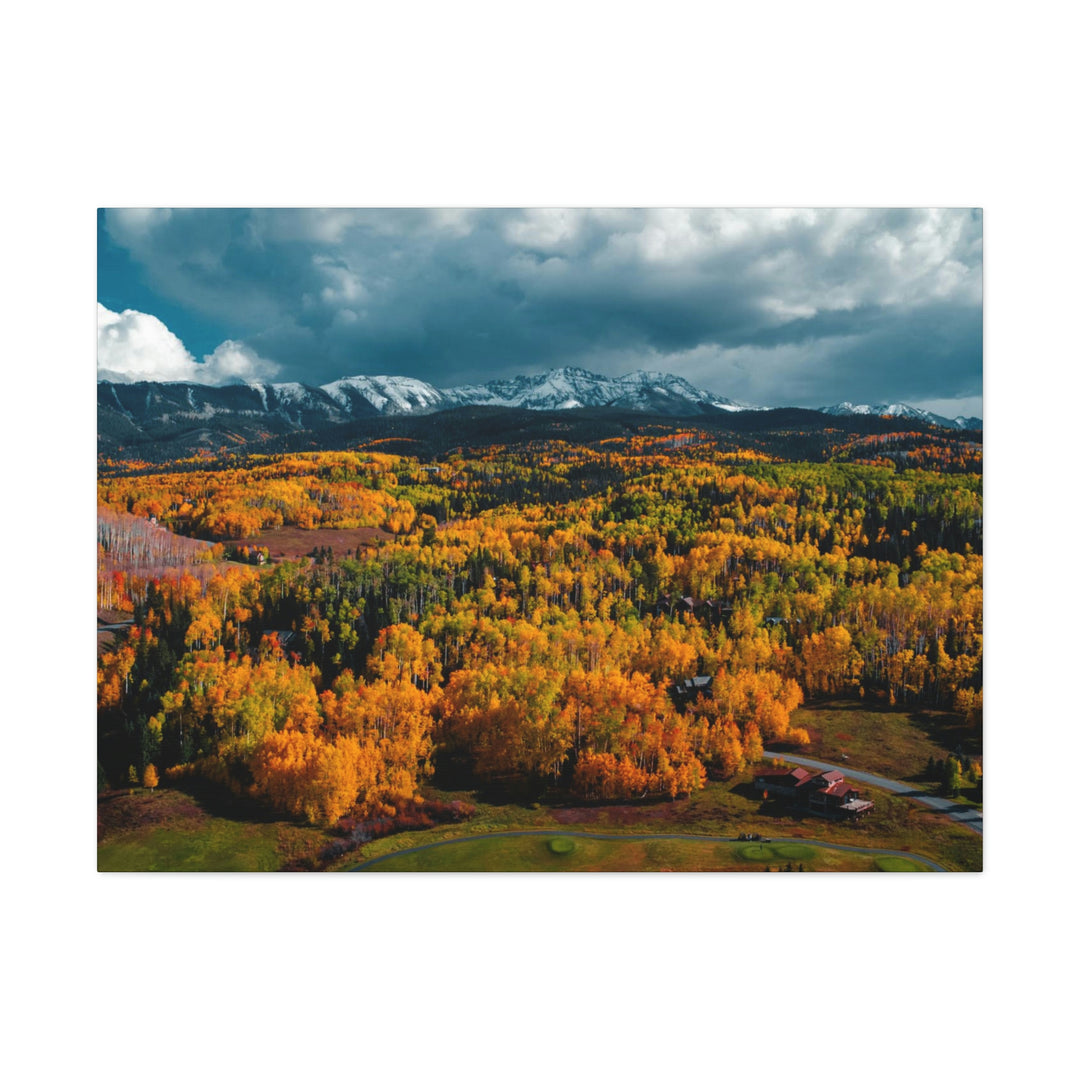 Golds of Autumn - Canvas