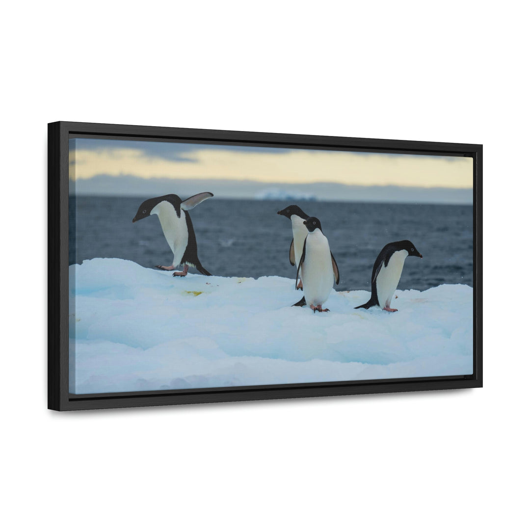 Penguin Dance - Canvas with Frame