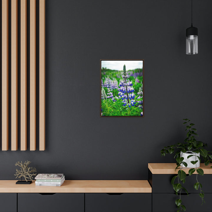 Glowing Lupin - Canvas with Frame