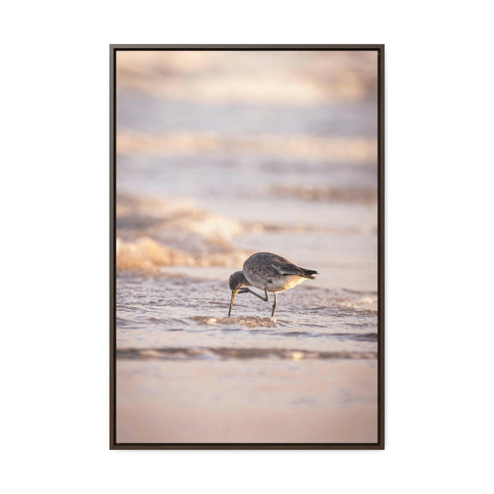 Willet Itch - Canvas with Frame