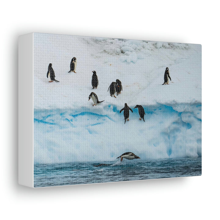 Porpoising Penguin - Canvas