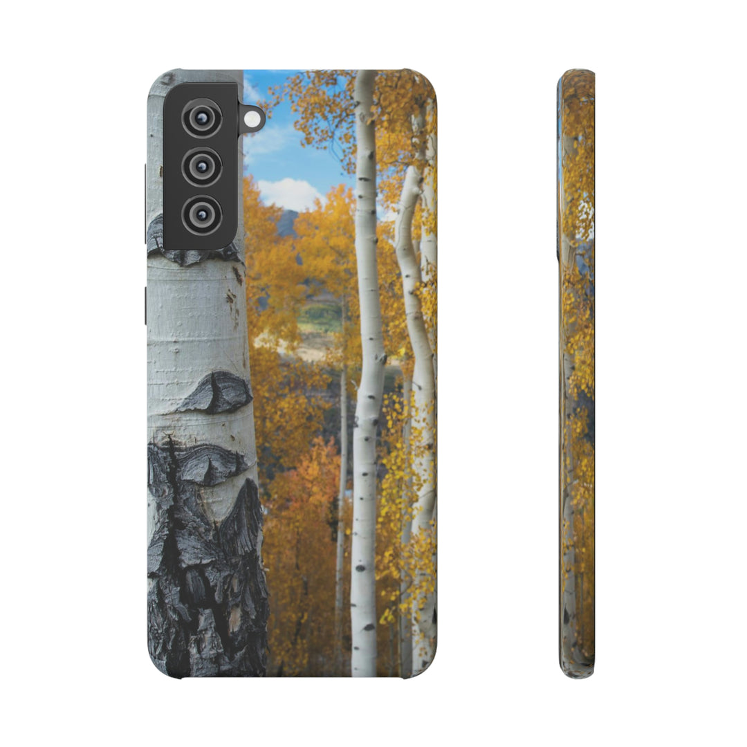 Aspens Changing - Phone Case