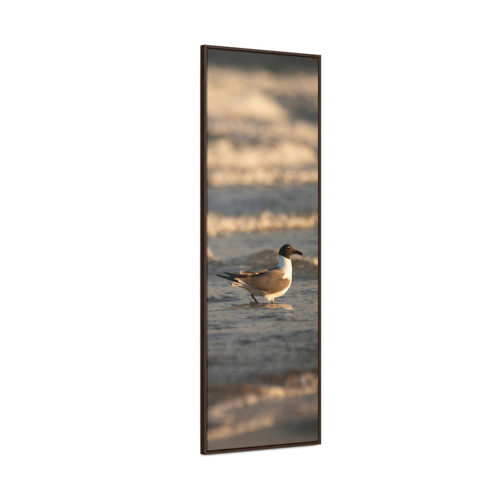 Laughing Gull in the Surf - Canvas with Frame