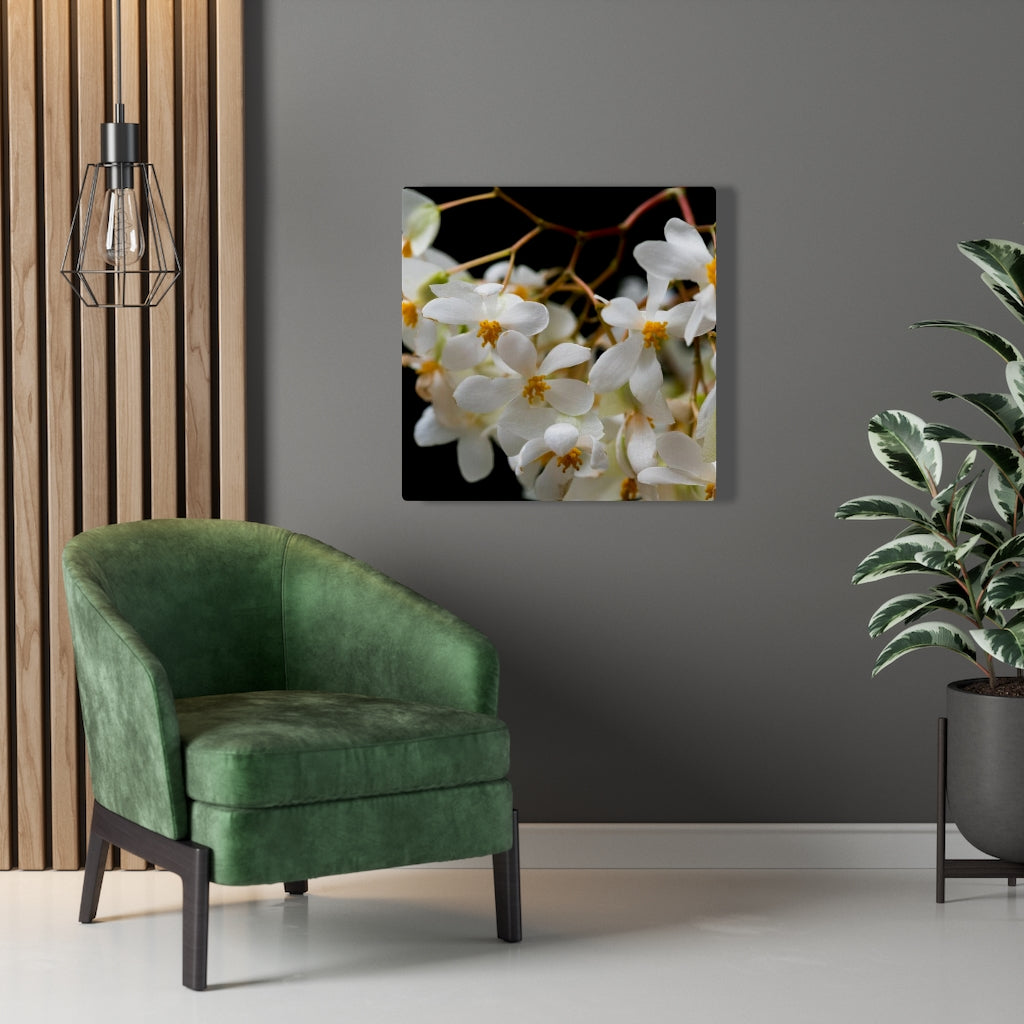 Floral Network - Canvas