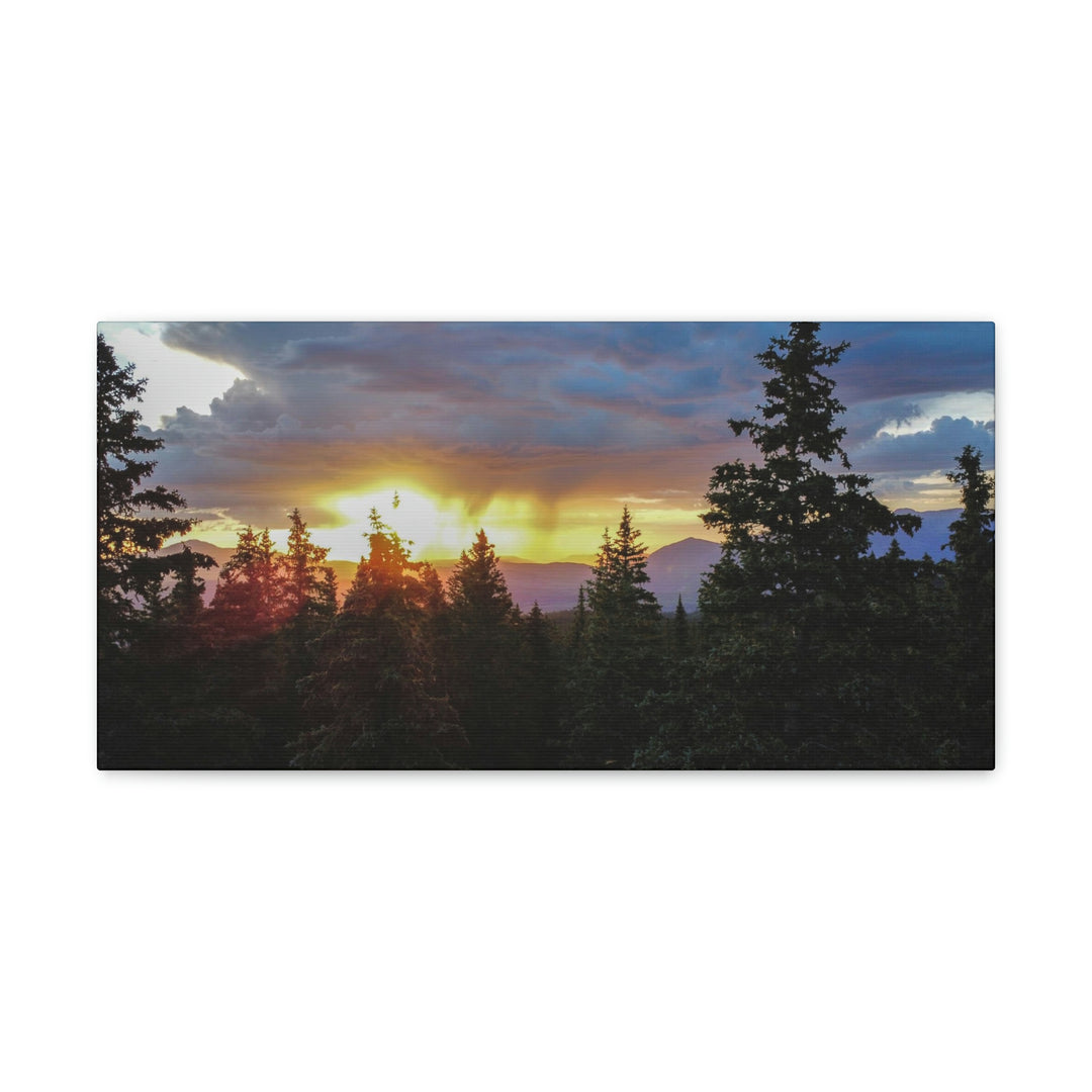 Rainy Sunset Through the Trees - Canvas