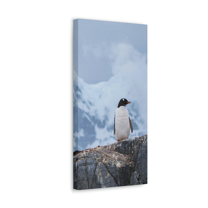 Poised Penguin - Canvas