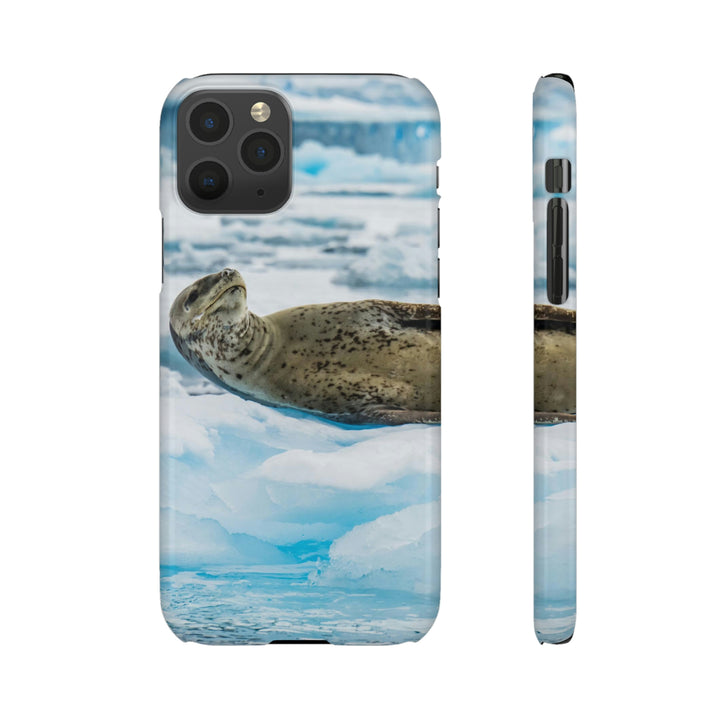 Leopard Seal Relaxing - Phone Case