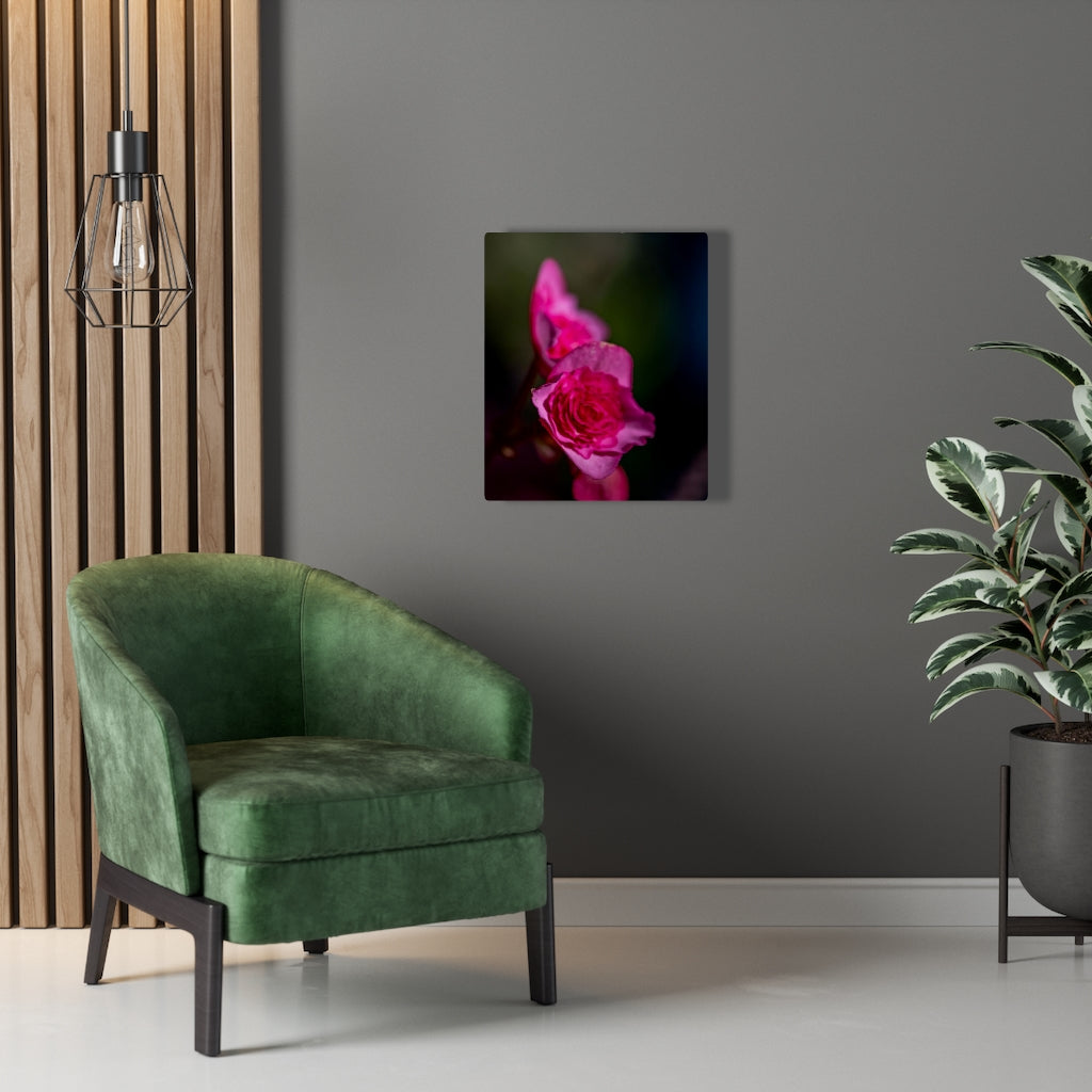 Hybrid Tea Lily - Canvas