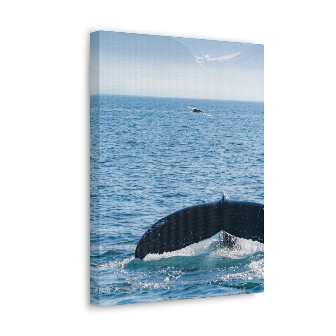 A Whale and A Mountain - Canvas