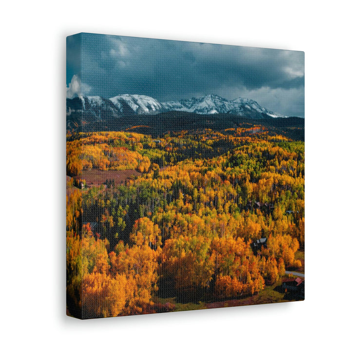 Golds of Autumn - Canvas