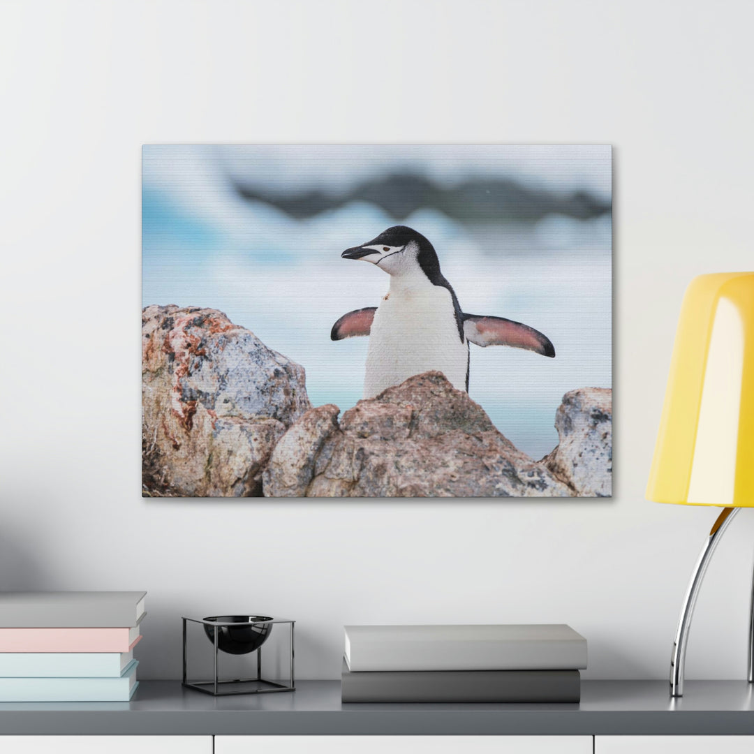 Stretched Penguin - Canvas