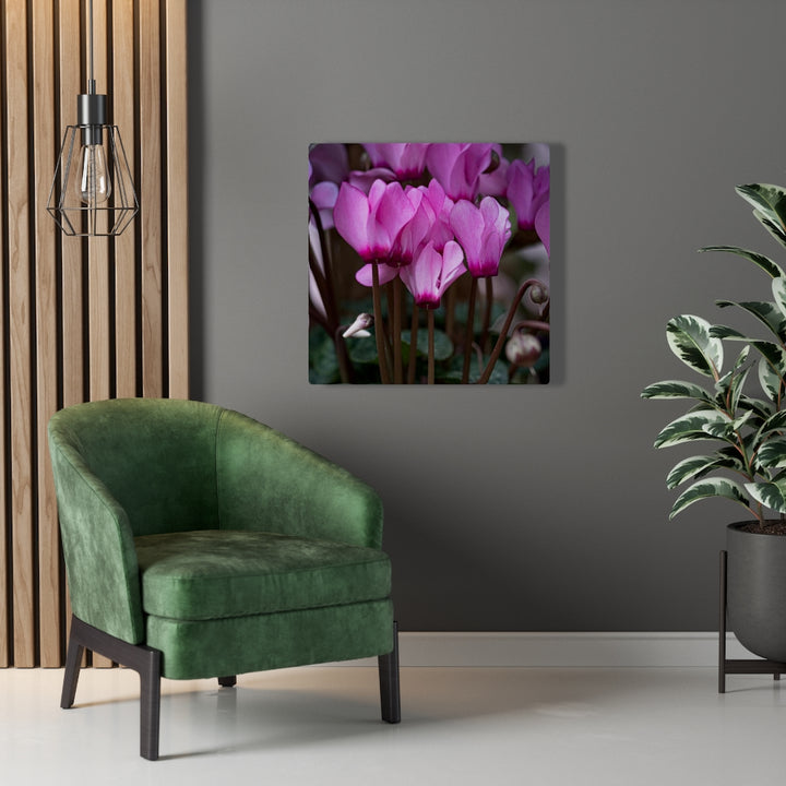 Cyclamen Reach - Canvas