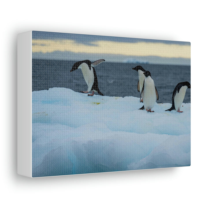 Penguin Dance - Canvas