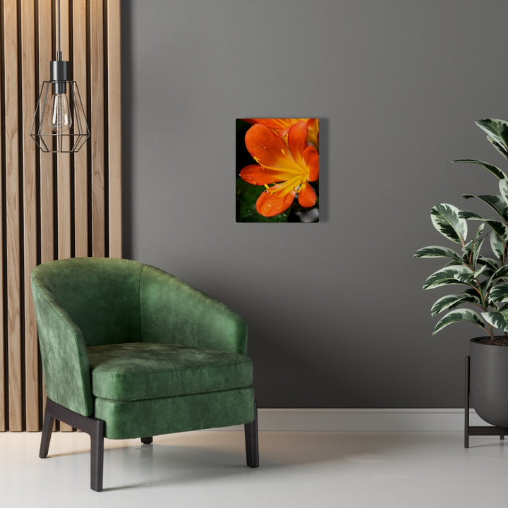 Bright Bush Lily - Canvas