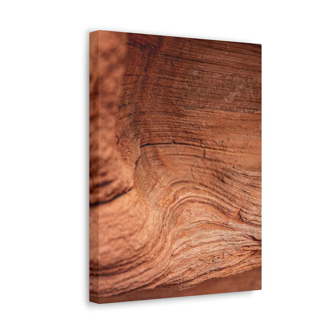 Sedimentary Rock Curves - Canvas