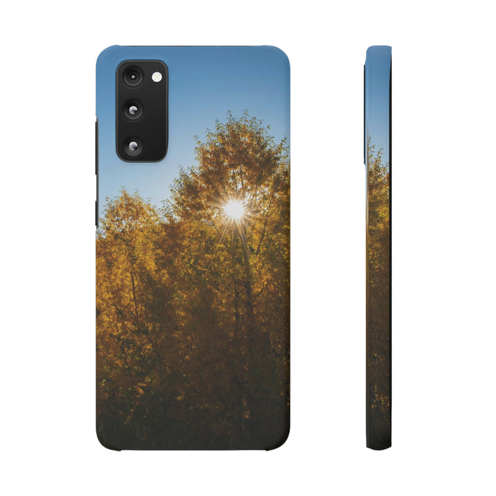 Sun Through the Aspens - Phone Case