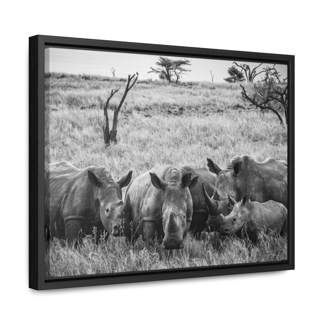 Rhino Family in Black and White - Canvas with Frame