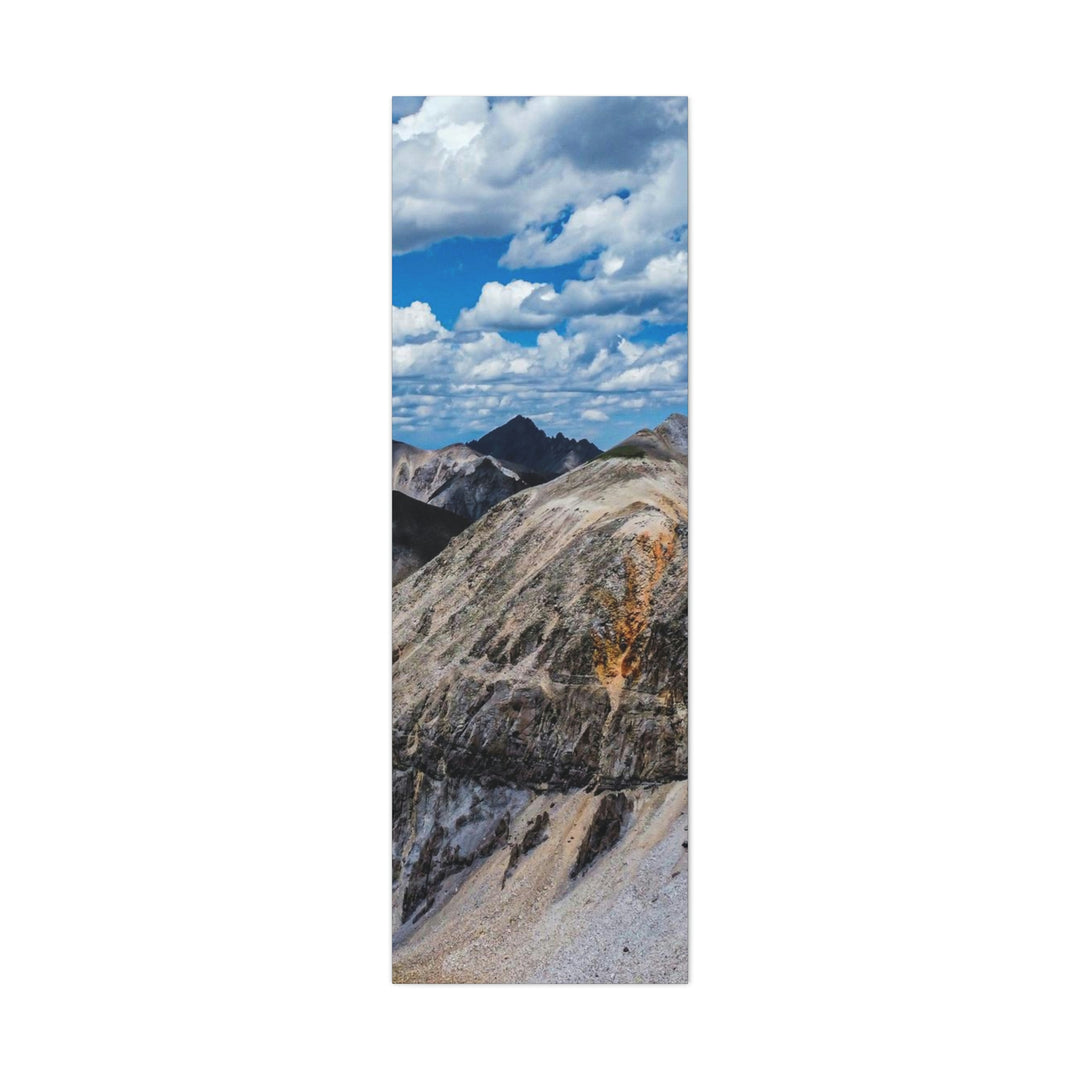 Imogene Pass From the Air - Canvas