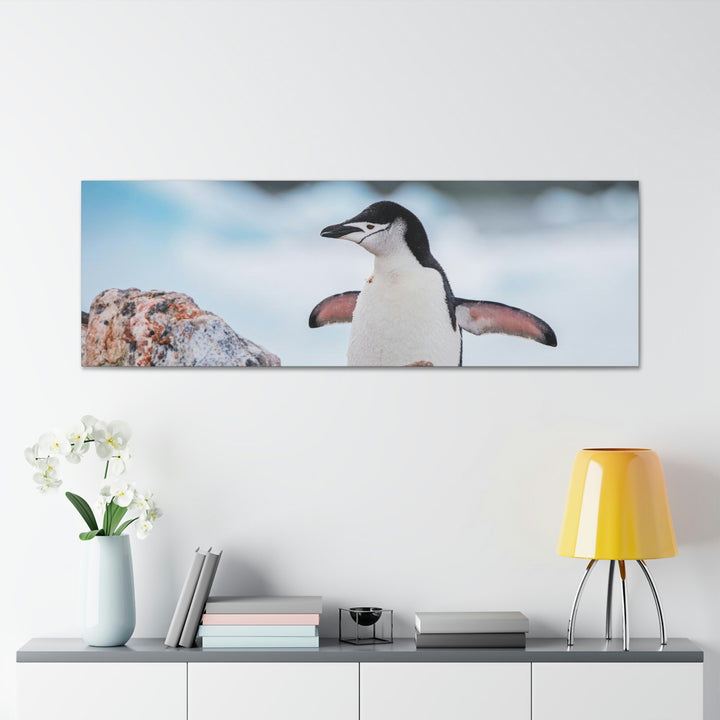 Stretched Penguin - Canvas