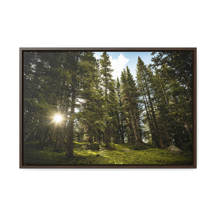 Forest Light - Canvas with Frame