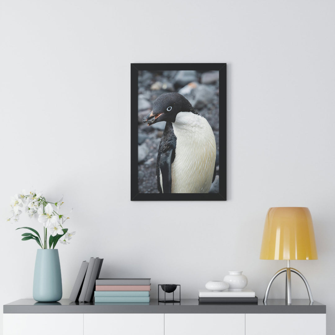 A Penguin's Pebble - Framed Print - Visiting This World