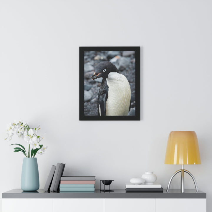 A Penguin's Pebble - Framed Print - Visiting This World