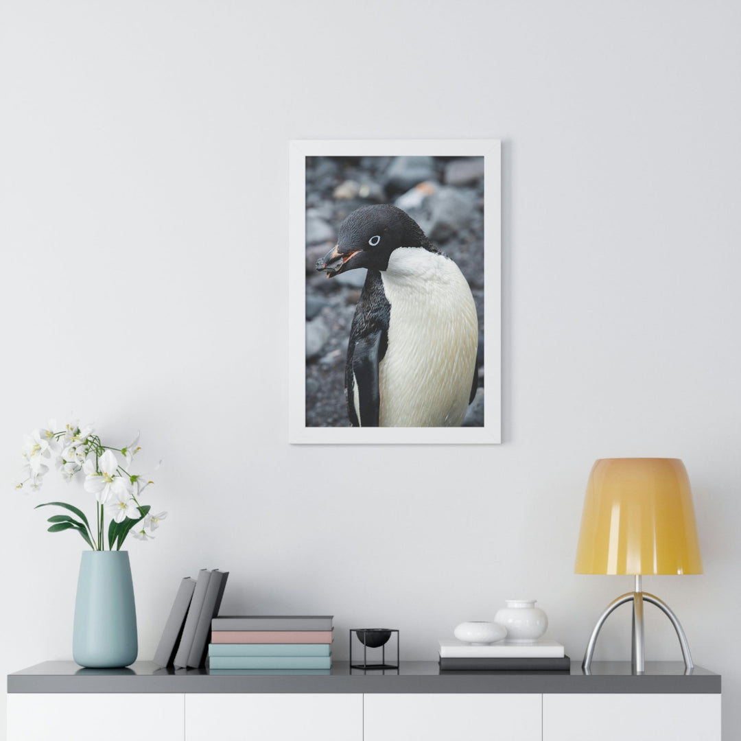 A Penguin's Pebble - Framed Print - Visiting This World