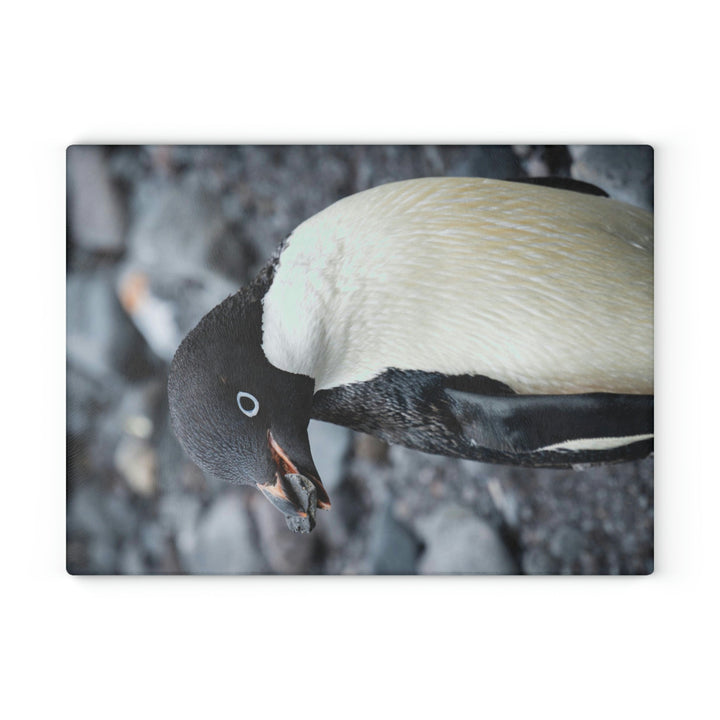 A Penguin's Pebble - Glass Cutting Board - Visiting This World