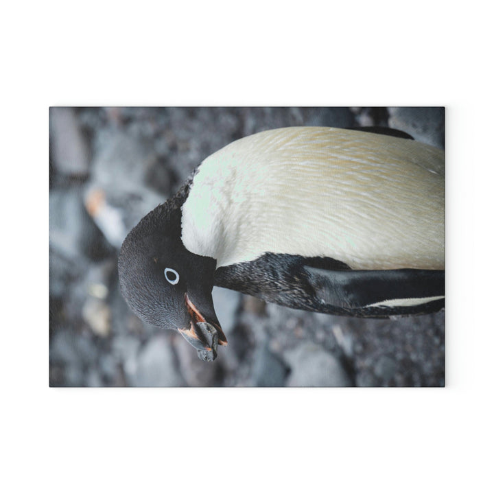 A Penguin's Pebble - Glass Cutting Board - Visiting This World